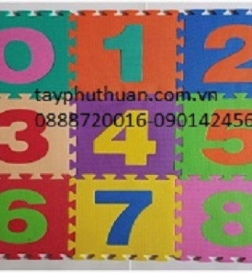 THẢM CHỮ SỐ HÌNH