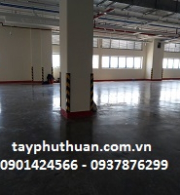 cao su ốp cột dài 800mmx10mm