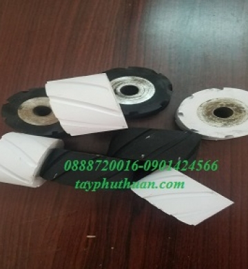 CON LĂN CÓ XẺ RÃNH CHỊU LỰC