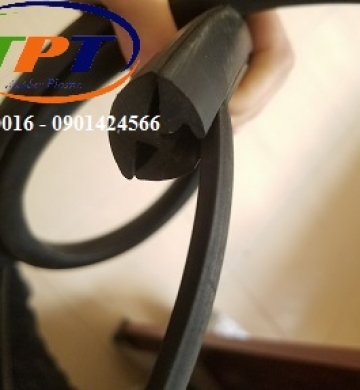 Gioang cao su chèn khe rãnh