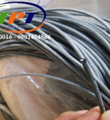 Gioang cao su đặc