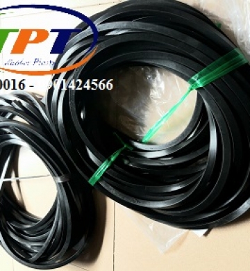 Gioang cao su dạng đặc chèn khe