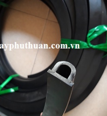 Gioang cao su gia cố kiểu chữ D