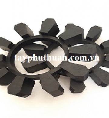 Khớp nối cao su 10 cánh