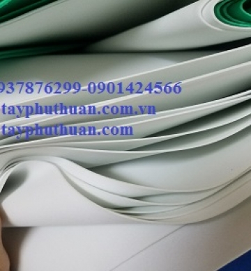  EVA TRẮNG LÀM HOA LÁ CÀNH