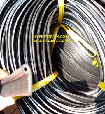 Ron cao su chữ P20x70