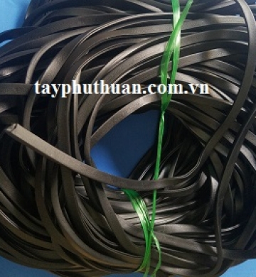 Ron cao su đệm cửa