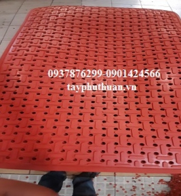 CAO SU CHỐNG TRƠN MÀU