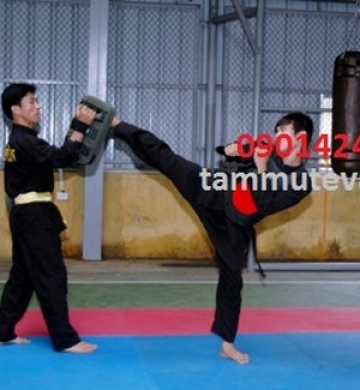 THẢM MÚT TRONG PHÒNG TẬP VÕ