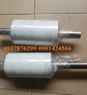 TRỤC CON LĂN TRONG MÁY